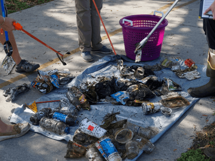 Trash Lucky: